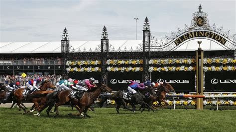 best bets melbourne cup